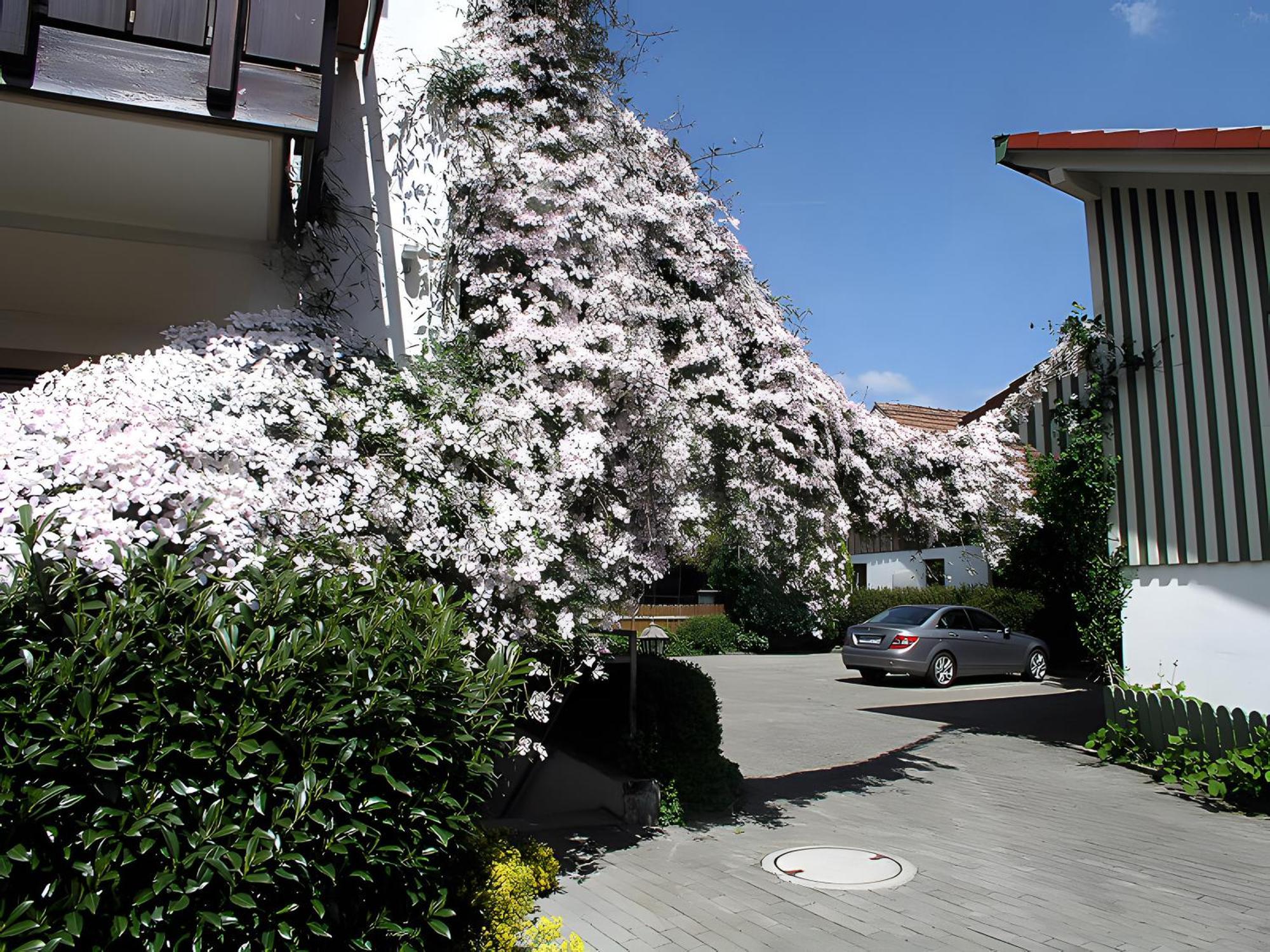 Gaestehaus Gutensohn Wasserburg Luaran gambar